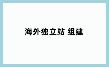 海外独立站 组建